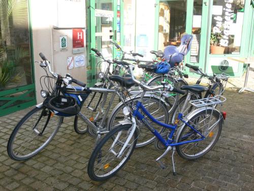 a group of bikes parked in front of a store at Logis Hotels Le Champalud Restaurant La Citadelle in Champtoceaux