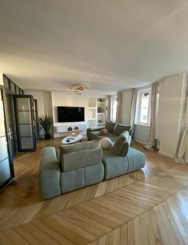 un grand salon avec un canapé et une télévision dans l'établissement Casa Saudade, à Lyon