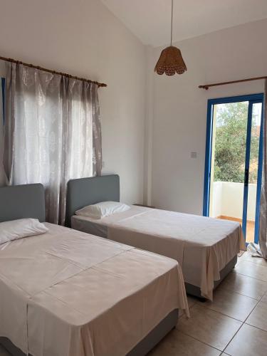 two beds in a room with a window at QUEEN EVRIDIKI & VILLA PANORAMA in Peyia