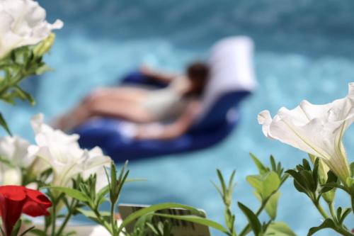 Apartment Vordermitterast