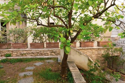 Zahrada ubytování Il Giardino della Giudecca Trani