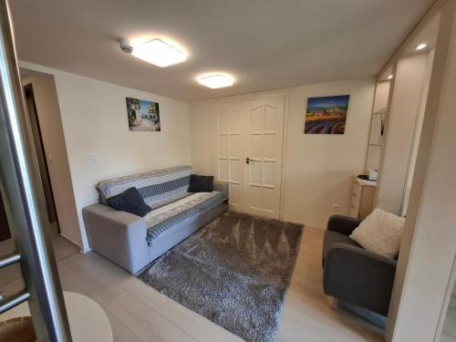 a living room with a couch and a chair at Beachfront Apartman in Balatonfůzfő