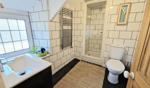 un bagno con wc, lavandino e doccia di North Cornwall 2-Bed Detached Period Cottage With Parking a Camelford
