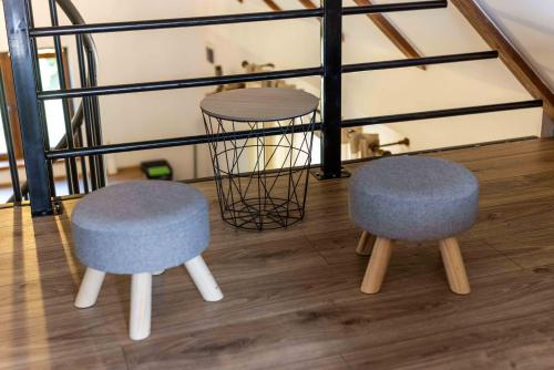 two chairs and a table in a room at Ruralna kuća za odmor Bor Anya in Vardarac