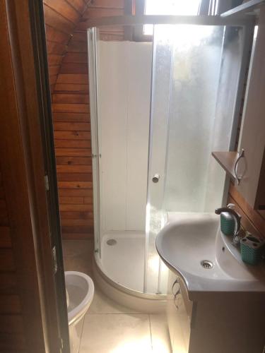 a bathroom with a shower and a toilet and a sink at Liman cafe pansiyon in Gökçeada