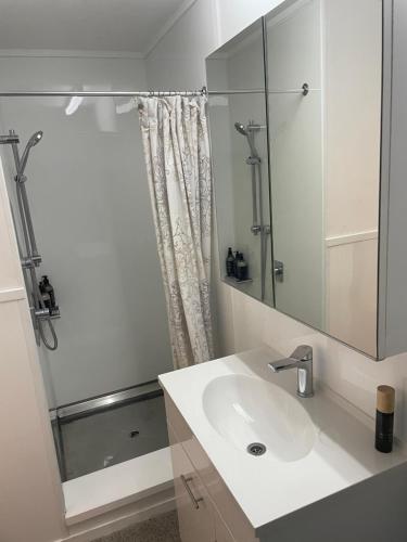 a bathroom with a sink and a shower at The Habeke Haven in Queenstown