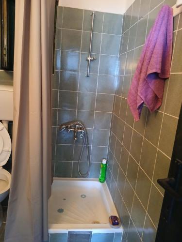 a bathroom with a shower with a bath tub at MonaLiza in Ulcinj