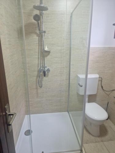 y baño con cabina de ducha y aseo. en La Mona, en Bîrsana