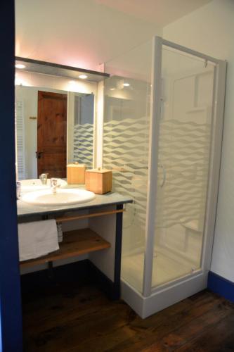 a bathroom with a sink and a glass shower at Chez Pascale in Melles
