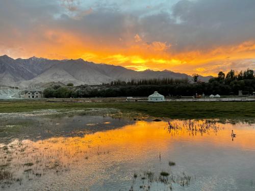 a sunset over a field with a body of water at Fengchui Banxia Manor Wild Luxury Camp in Taxkorgan