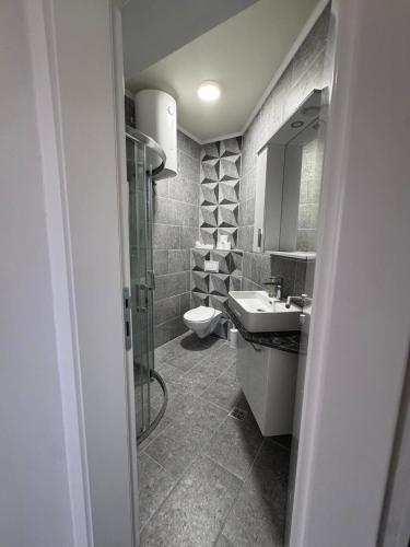 a bathroom with a sink and a toilet at Apartmani PROM-AR in Travnik