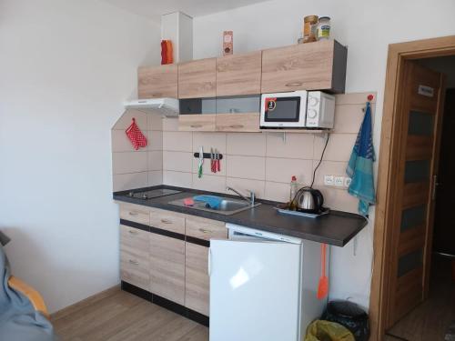 a small kitchen with a sink and a microwave at Apartmány Kojčice 
