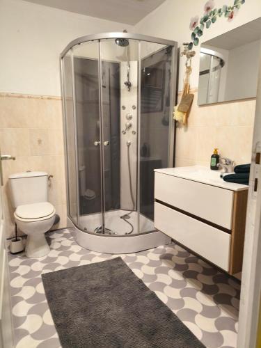 une salle de bain avec une douche, des toilettes et un lavabo dans l'établissement Le cottage de Mag, à Cerences