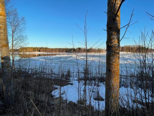 a frozen field with a tree in the foreground at Aava Riverside in Rovaniemi