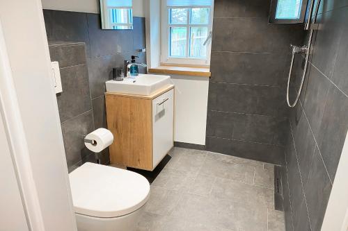 OhneにあるFerienhaus Altes Backhaus für 2 Personenのトイレ、洗面台、シャワー付きのバスルーム