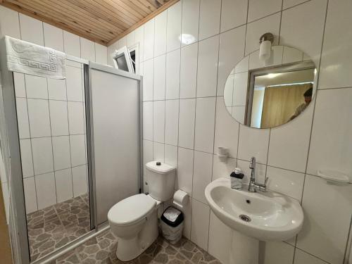 a bathroom with a toilet and a sink and a mirror at La Dia Hotel Faralya in Fethiye