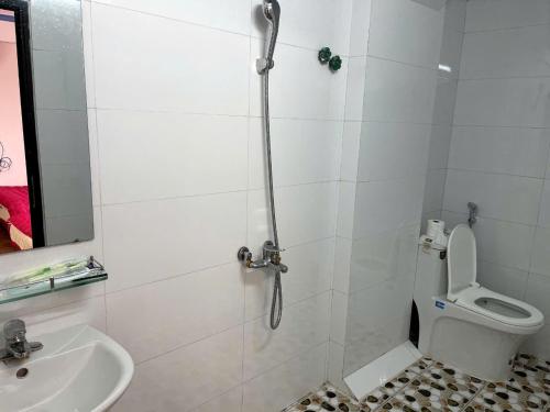 萨帕THANH HOÀNG SAPA Hotel的带马桶和水槽的浴室