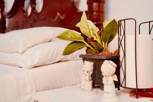 a potted plant on a table next to a bed at House of Sincerity in Maharagama