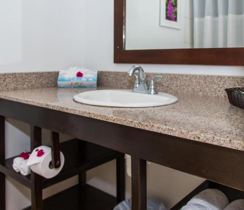 a bathroom counter with a sink and a mirror at Starfish St Lucia - All Inclusive in Rodney Bay Village