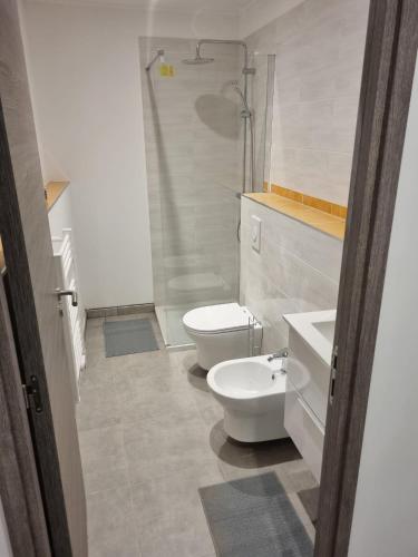 a bathroom with a toilet and a sink and a shower at Maison Samuela in Grillasca