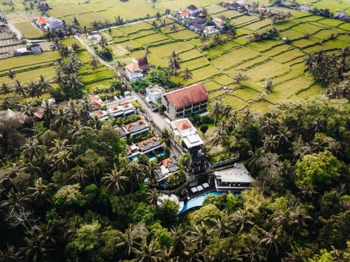 Природа в окрестностях курортного отеля