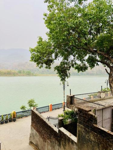 a view of a large body of water with a tree at Ganga Riverfront Rishikesh in Rishīkesh