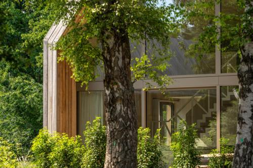 a house with a tree in front of it at Lodge - 6 personen - Woodz Lodges in Heusden - Zolder