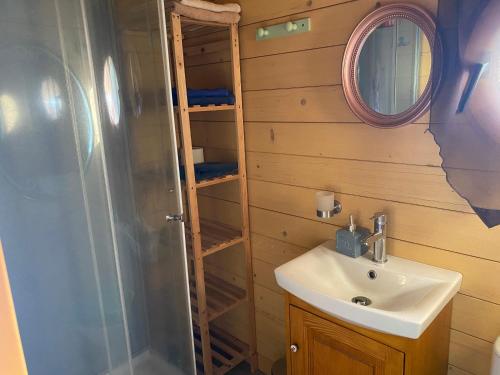 a bathroom with a sink and a shower and a mirror at Roulottes des Combrailles in Saint-Pardoux