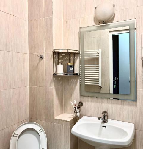a bathroom with a sink and a toilet and a mirror at Nana's Mini Hotel in Tbilisi City