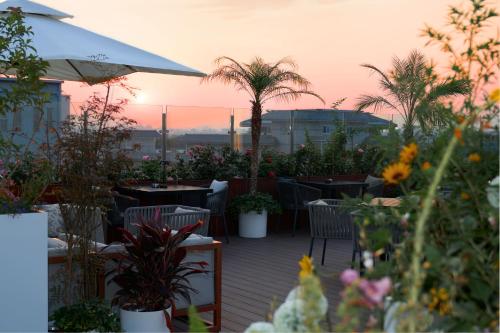 Zahrada ubytování The Purple Horse Hotel 北京紫龙花园酒店 - Beijing Sky Garden Boutique Hotel & Rooftop Infinity Mini Pool - Near Forbidden City, Wangfujing, Tiananmen, Lama Temple - Personalised Tours