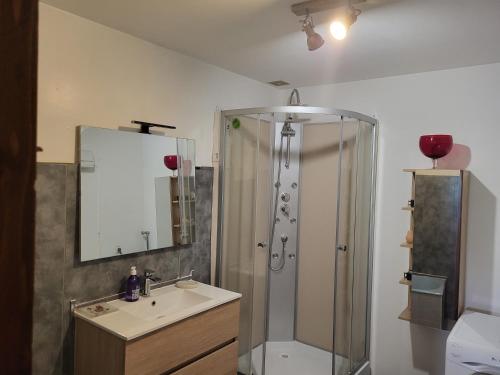 a bathroom with a shower and a sink and a mirror at Les Irlandais-Appartement Bayons in Bayons