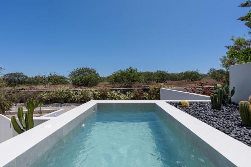 a swimming pool in the backyard of a house with cactus at Lilium Homes in Karterados