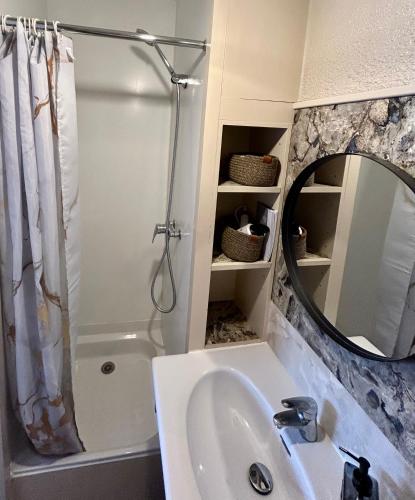 a bathroom with a sink and a shower and a mirror at Le Ptit Jumoku in Caen