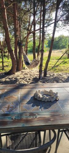 una panchina con un'amaca in un parco con alberi di Apartament Szyszka w ogrodzie a Rogowo