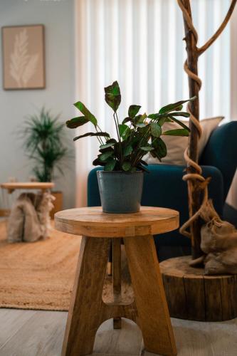 a potted plant on a wooden table in a living room at Maresia - Esmoriz Beach in Esmoriz
