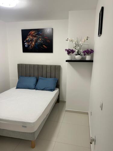 Deux pièces au centre-ville proche des plages et centres commerciaux