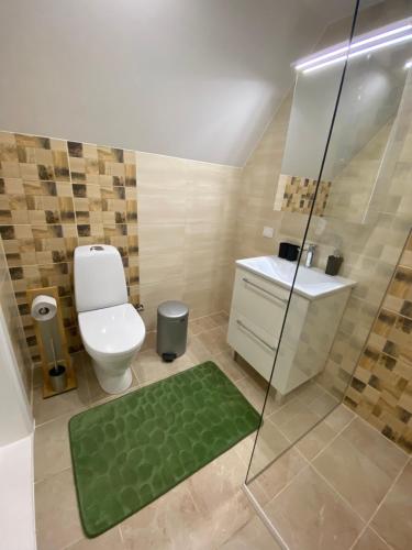 Ένα μπάνιο στο Pie Elvīras Guesthouse