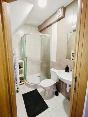 a bathroom with a shower and a toilet and a sink at Tatrzańska Przystań in Zakopane