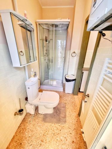 a bathroom with a toilet and a shower at Lovely Alps ski apartment on Alpe Adria bike trail in Pontebba