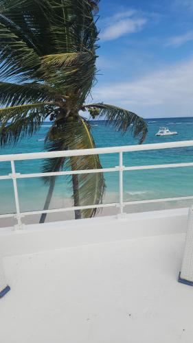 a palm tree sitting on top of a balcony overlooking the ocean at Hostel capicua in Punta Cana