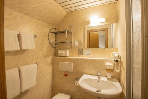 a bathroom with a sink and a toilet and a mirror at Ferien Hotel Cottbus in Kolkwitz