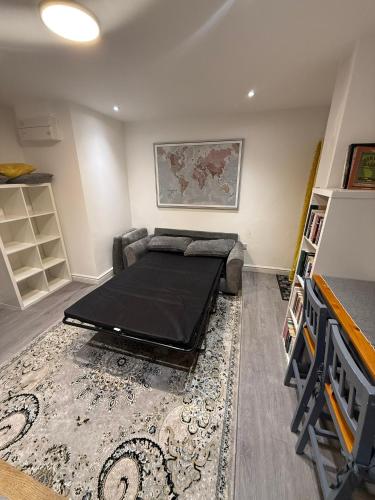 a room with a bed and a couch and a rug at Bright and Spacious Entire One Bedroom Apartment with Living Room and Private Garden in London