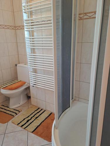 a bathroom with a shower and a toilet at Apart-Lux in Ciechocinek