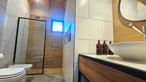 une salle de bain avec un lavabo, des toilettes et une douche dans l'établissement Los Olivos Purmamarca - Cabañas Boutique, à Purmamarca