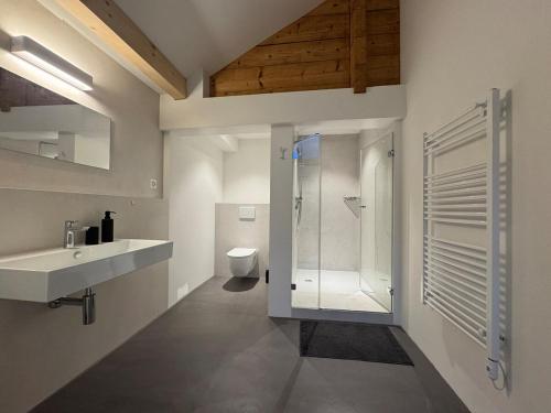 a bathroom with a shower and a sink and a toilet at Des Alpes Sky Apartment in Beatenberg