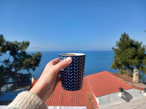a hand holding a coffee cup on top of a roof at Agnanti Apartment in Órmos