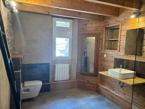 a bathroom with a toilet and a sink at Charmante maison cévenole in Aumessas
