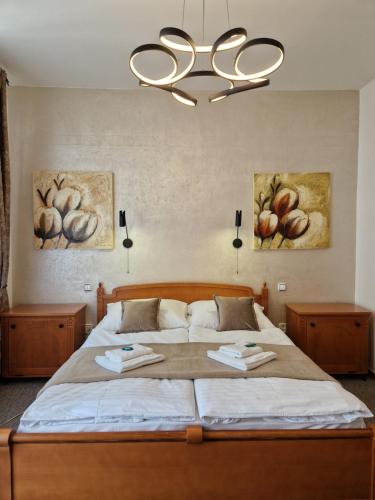 Postel nebo postele na pokoji v ubytování Apartmány Aurelius
