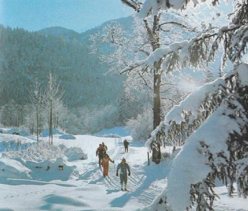 a group of people cross country skiing in the snow at FeWo Schlosspark Grubhof in Sankt Martin bei Lofer