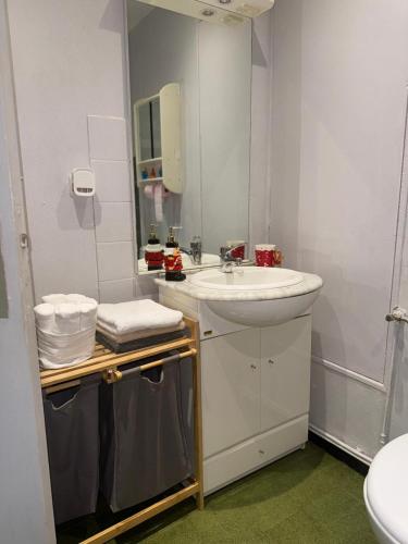une salle de bain blanche avec un lavabo et un miroir dans l'établissement Jolie appartement, à Mulhouse